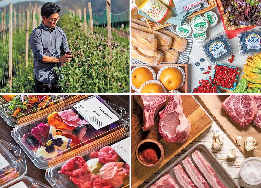 Dining Trends Forecast for 2026